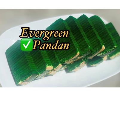 Kek Lapis Evergreen (Eco)